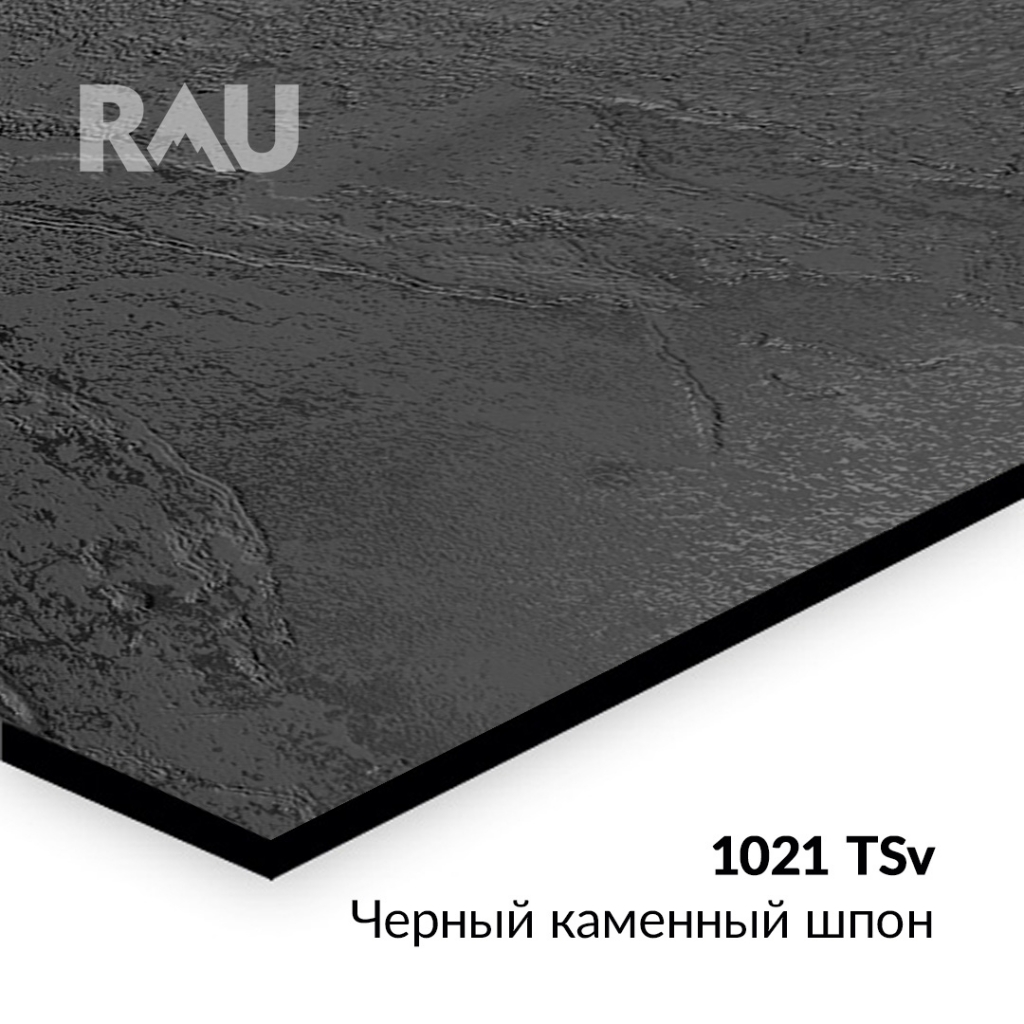�������-����� RAU 1021 TSv - ������ �������� ���� �������� � ���-������