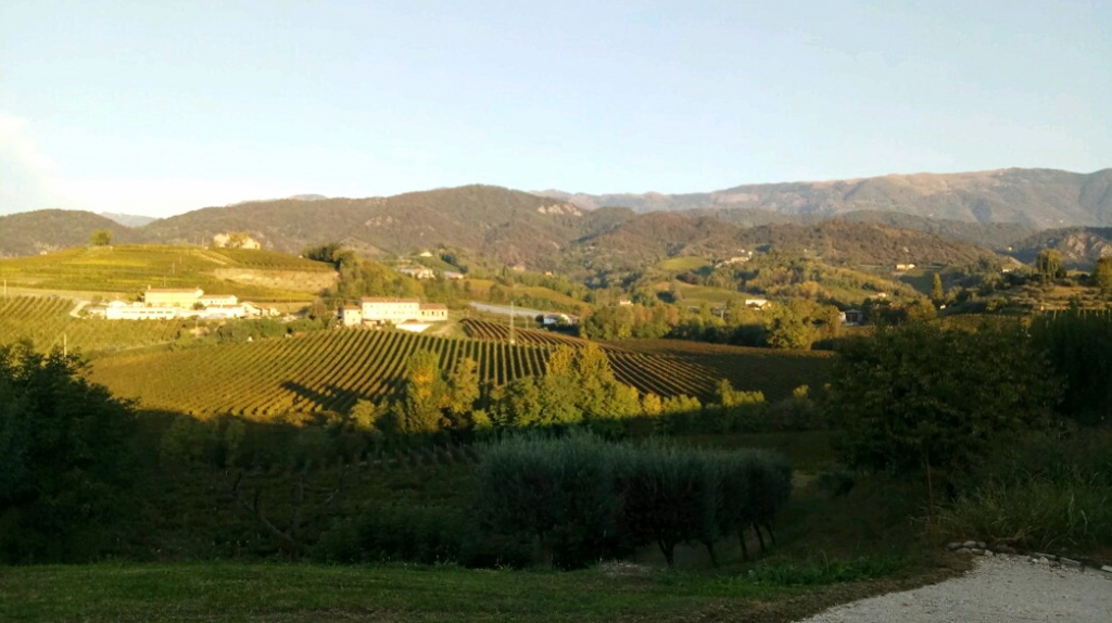 ������ �������������, ����������� ������� Conegliano