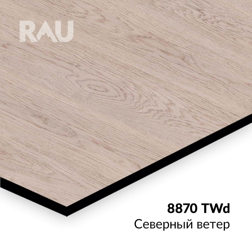 �������-���� RAU 8870 TWd - �������� ����� �������� � ���-������