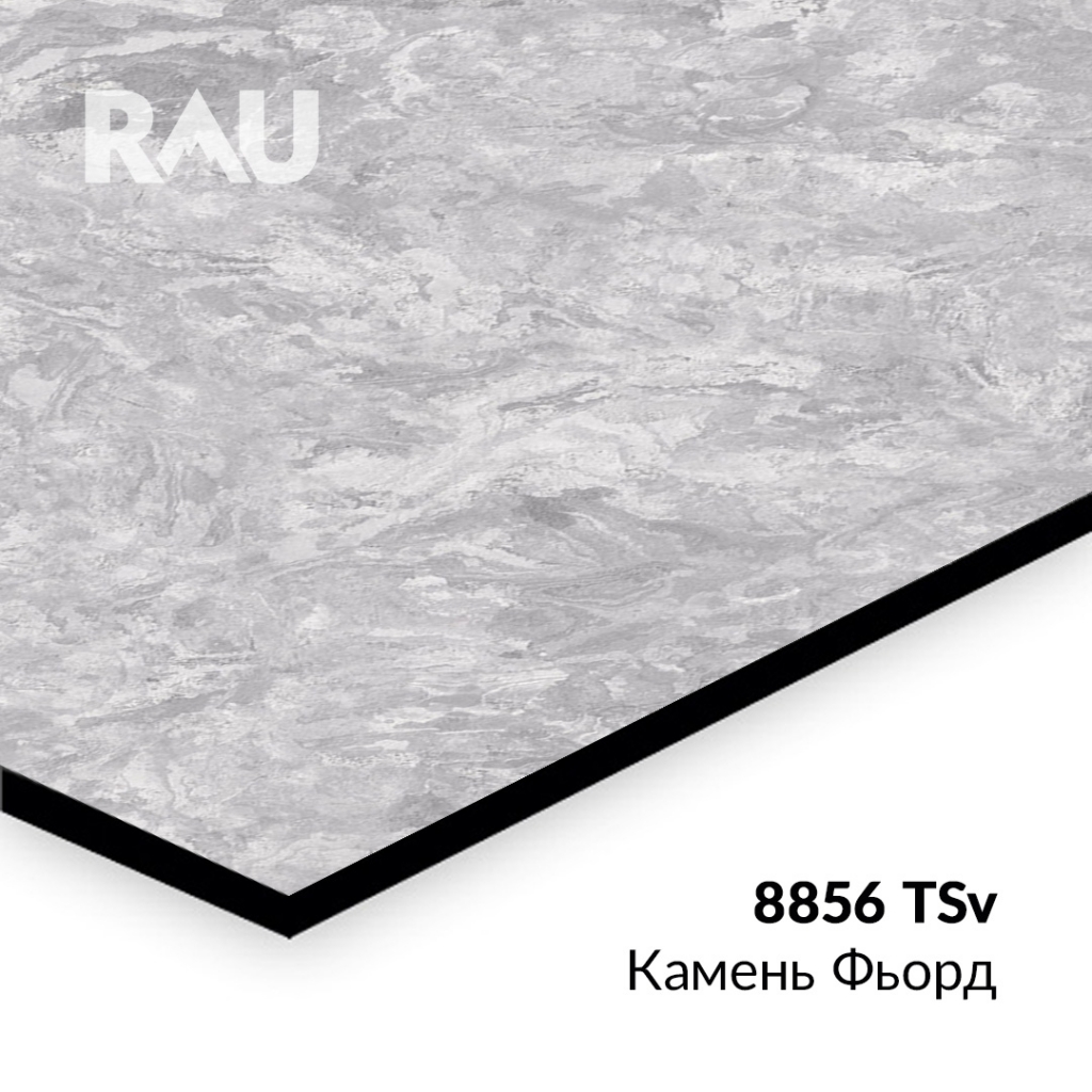 ������� ����� RAU 8856 TSv - ������ ����� �������� � ���-������