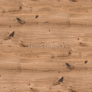 ������� ���