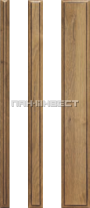 PC-07 �������� ���