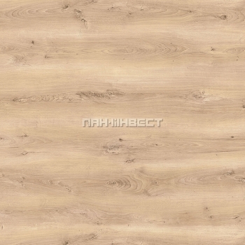 ��� ����������