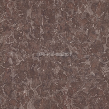 ������ ���������