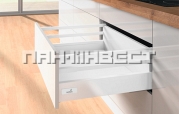 Atira � ������ 176 �� (D) � ������� ��������