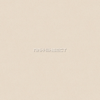 �������� �����������