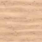 ��� ����������