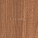 SKIN D6424 SG ���� ����� 18 ��